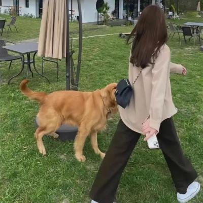 我们仨